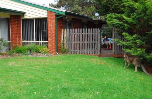 Anglesea House | Large Family Beach House with modern facilities