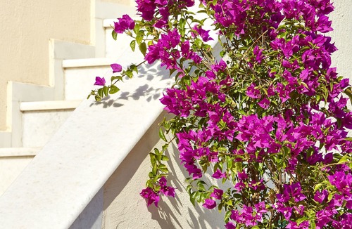 Messaria House | Le Blanc Suite