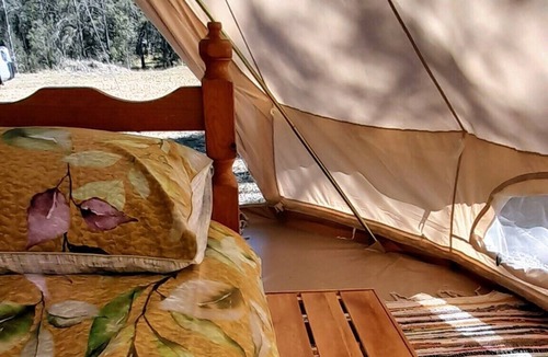 Cedar Party RV Rental | Leave the rat race & energise yourself in nature in our luxurious Glamping Yurt!