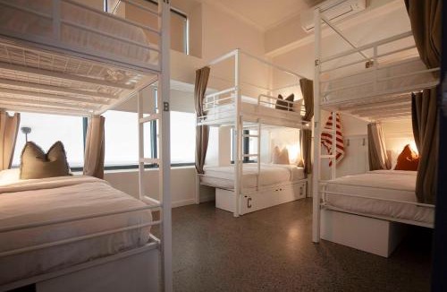 Cairns Central Business District Hostel | Little Drifter Cairns