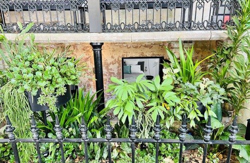 Surry Hills Apartment | Live like a local in the heart of Surry Hills