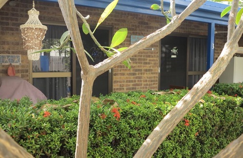Arcadia Apartment | Magnetic Shores Unit 3 - Delightful tropical getaway across the road to beautiful Alma Bay
