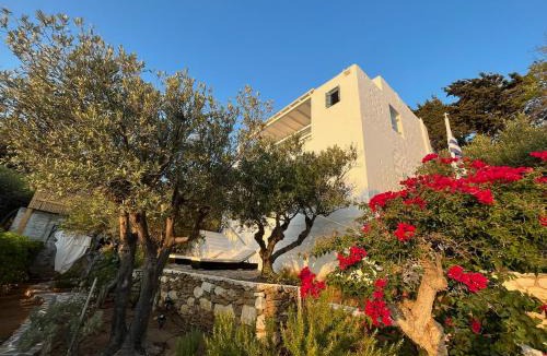 Piso Livadi Villa | Magnifique Villa sur la plage de Piso Livadi - Paros