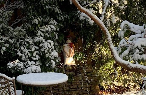 Mount Victoria House | Maisie's Cottage