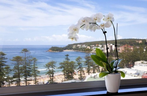 Manly Apartment | Manly Ocean Beach Apartment + Views!