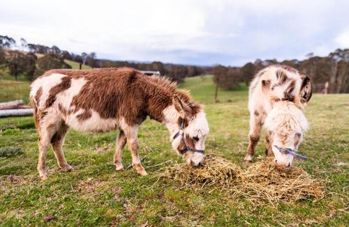 Jenolan House | Mckeown's Rest at Kenzell Farm