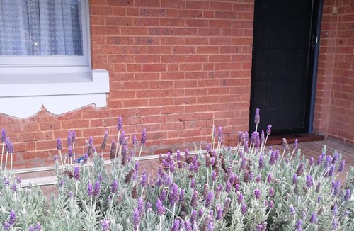 Central Mudgee Cottage | Merala: cosy cottage with an easy stroll to CBD