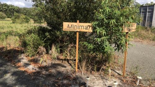 Hawks Nest House | Minima On Mungo