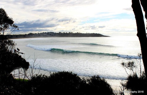 Mollymook Apartment | Mollymook Cove Apartments