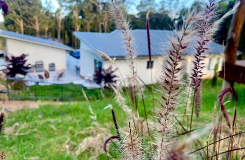 South Coast Bed & Breakfast | Mountain Valley