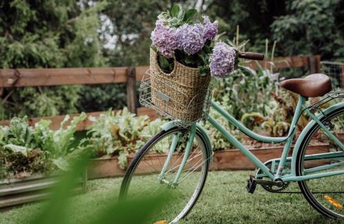 Canungra House | Mountview Alpaca Farmhouse