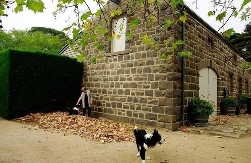 Lexton Cottage | Mt Mitchell Cottage - Romantic Holiday or Family GetAway.