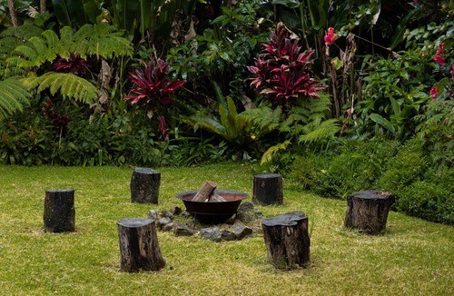 Mullumbimby House | Mullum Muse, a magical place that connects you back to nature.