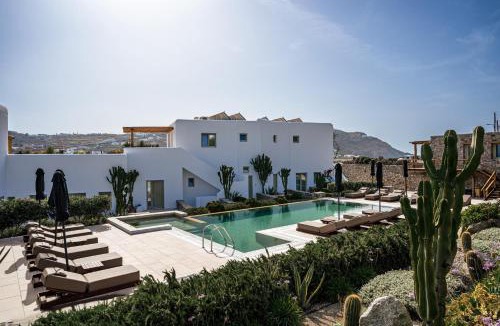 Ornos Hotel | Mykonos Cactus
