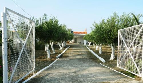 Afandou House | Nadia's House 1