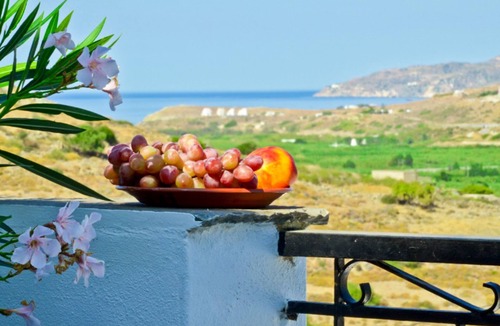 Eggares Apartment | Naxos Agrotouristic apartment in a quiet village