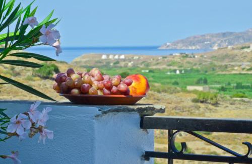 Galini Apartment | Naxos Filoxenia Hotel