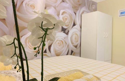 Rosewater House | Nice room less pay near Port Adelaide