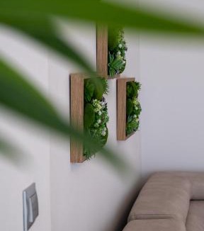 Loutra Oraias Elenis Apartment | Noa Mare