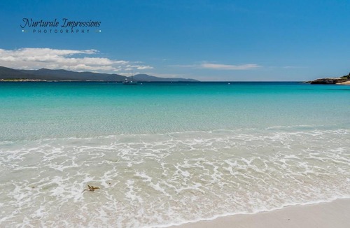 Bicheno Apartment | Ocean Dreams