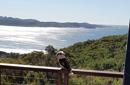 Boat Harbour House | Ocean views, aircon, linen, wifi & foxtel