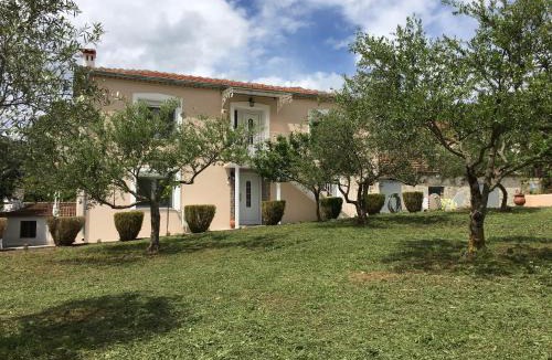 Kastraki Apartment | Olive Grove