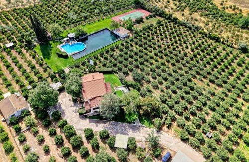 Nea Tirintha Villa | Orange Grove Villa