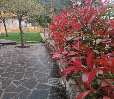 North Tzoumerka House | Orminia ground level