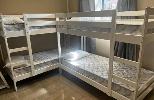 Hamilton Hostel | Palm Hamilton Backpacker