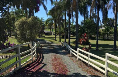 Coopernook Hotel | Palms Oasis Motel