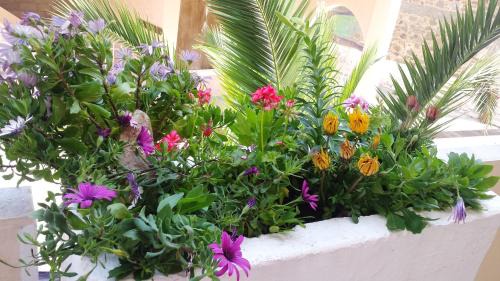 Skala Eresou Hotel | Pan sion Eresos