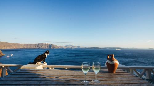 Oia Apartment | Pano Meria Cave House Two in Oia
