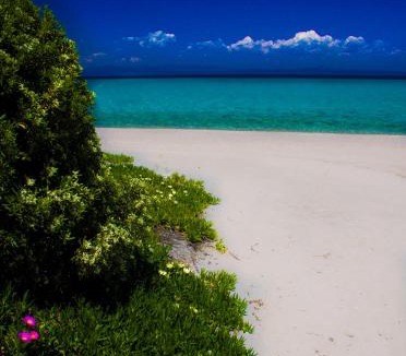Pallini Apartment | Paradise Family House in Chalkidiki Chanioti