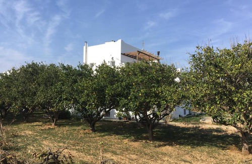 Piso Livadi House | Paros Nature House