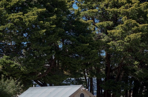 Burra Cottage | Paxton Square Cottages