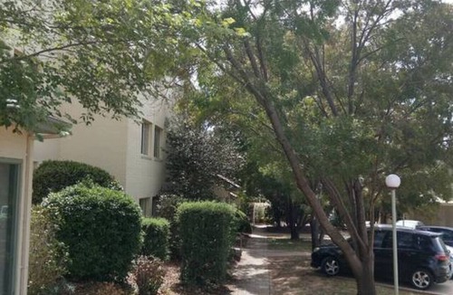 Phillip Apartment | Peaceful Outlook, nr Canberra Hospital @Woden