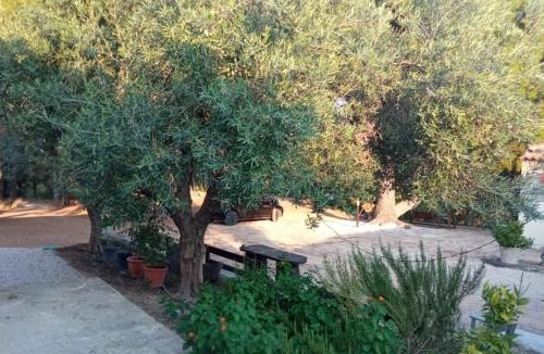 Psakoudia Apartment | Pefkonas apartments2 100 m from the beach