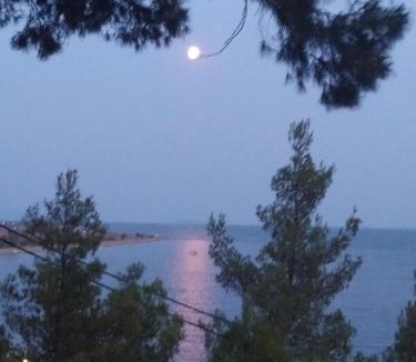 Psakoudia Apartment | Pefkonas apartments2 100 m from the beach