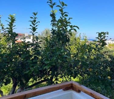 Istron Apartment | Pella in Istron