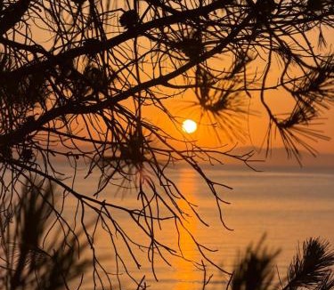 Lavreotiki Apartment | PJ Properties Sunset Residence Sounio