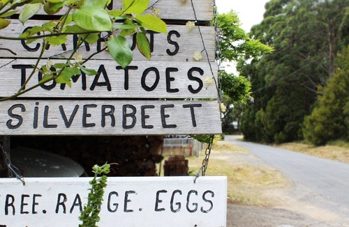 Port Arthur House | Port Arthur Beachfront Retreat