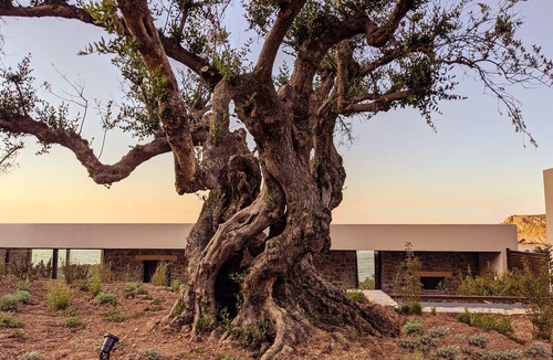 Mochlos Villa | Private Villa with a Sea View