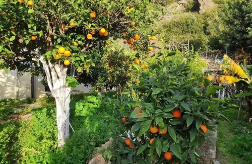 Tertsa House | Quaint vacation home in a Mediterranean garden just a few steps from the beach