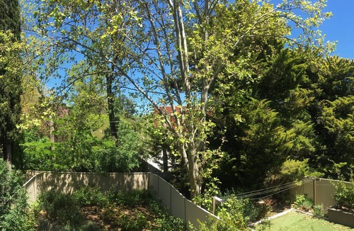 Capital Hill Apartment | Quiet Apartment Adjacent to Parliament House