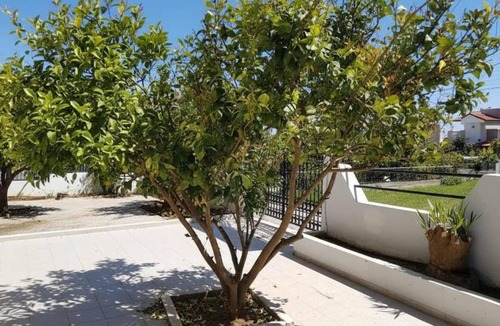 Psinthos Apartment | Rhodes Paulsia Cosy Apartments: Comfort Apt