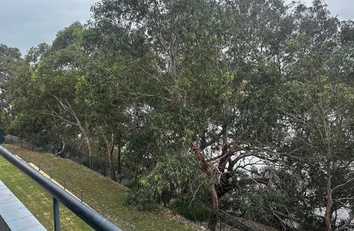 Rivervale Apartment | Riversong Perth ~ A Riverfront retreat close to Optus, Crown, City & Airport