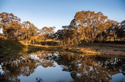 Grattai Cabin | Rose Quartz - 1 Bed with Mountain Views - Kundalini Lodge