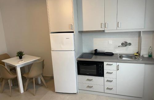 Steni Dirfyos Apartment | Saltriver rooms