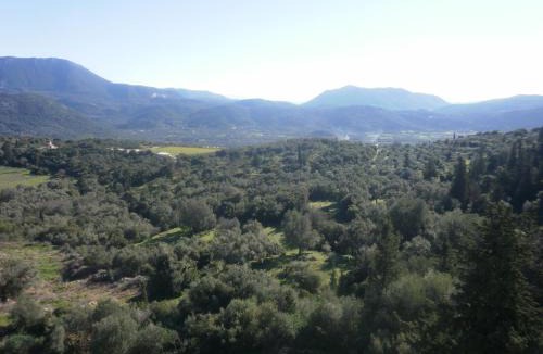 Agios Petros Apartment | San Pedro