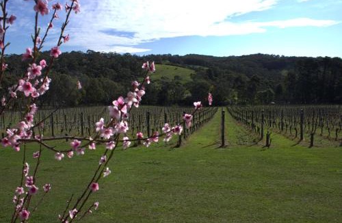 Red Hill House | Sandstone Estate - A Boutique Vineyard Retreat